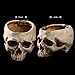 Xinhuaya Retro Human Skull Head Flower Pot Planter Bed Box Container Replica Home Bar Decor