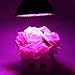Msliy 30 or 50 or 80W Grow Light 120 Degree LED Grow Light Bulbs