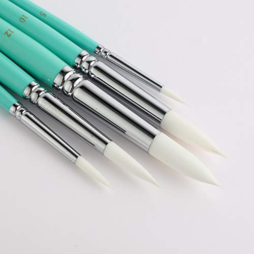 HIMI Paint Brush Set 5 Pieces, Artist Paintbrush Kit for Acrylic Oil