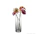 CYS EXCEL Glass Cylinder Vase, Floating Candle Holder, Flower vase, Decorative Centerpiece for Home, Business, Events or Weddings (Pack of 6) 4