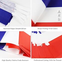 France String Flag Pennant Banner - 38 Flags, 42
