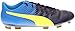 PUMA Evopower 4.3 Tricks FG Men's Firm Ground Soccer Cleats