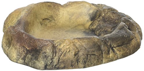 Jungle Bob Polyresin Water Bowl For Reptiles Amphibians Invertebrates Stone Style Buy Online In Brunei At Brunei Desertcart Com Productid