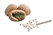 MindWare Dig It Up! Dinosaur Eggs and Mineral Stones Set of 2 Dig Kits