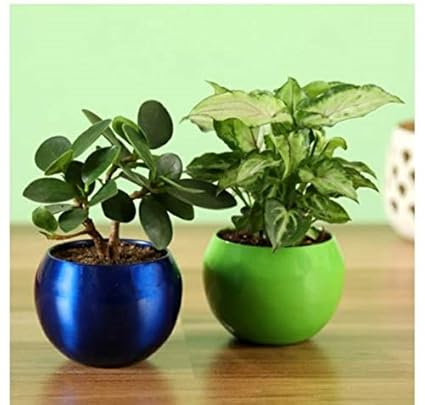 Siddhi Vinayak Gallery Metal Planter Pot for Home Decoration | Round Shape Metal Pots for Indoor Plant Living Room Bedroom, Tabletop, Office Desk Decoration ( Multicolour Pack of 2 Metal Pot)