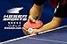 Keser Sports 5-Star Ping Pong Paddle Set – 4 Player Racket Set Bundle with 8 Professional ABS Balls and Portable Storage Bag Included. Advanced Spin, Speed and Control for Indoor/Outdoor Table Tennis