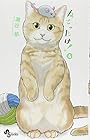 ねこったけ! 第4巻