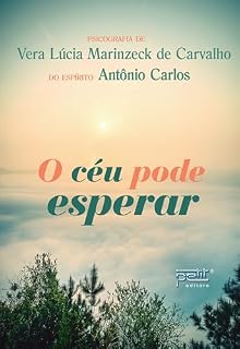 Livro O céu pode esperar