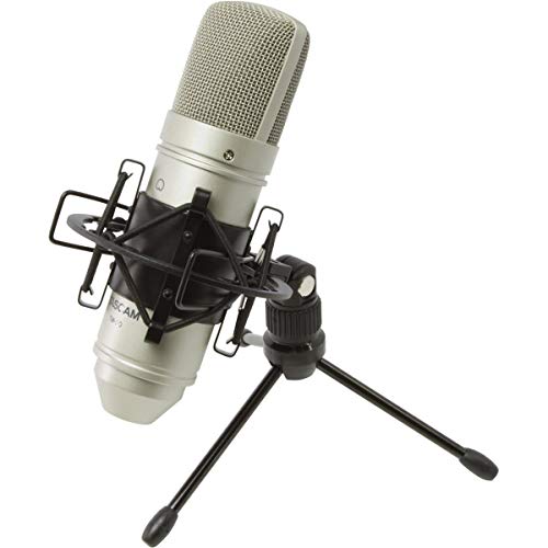 Tascam TM-80 Condenser Microphone