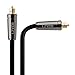 LZYCO Gold Plated Toslink Digital Optical Audio Cable with Premium heavy-metal castings Connectors (Black 20FT)