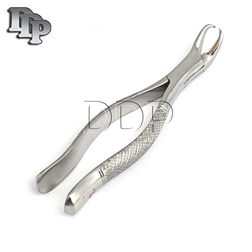 Buy DDP EXTRACTION FORCEPS 23 COW HORN LOWER MOLAR ROOT TEETH DENTAL