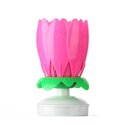 Amazing Birthday Candle Flower Cool Singing Musical Candles Spinning Centerpiece Sparklers