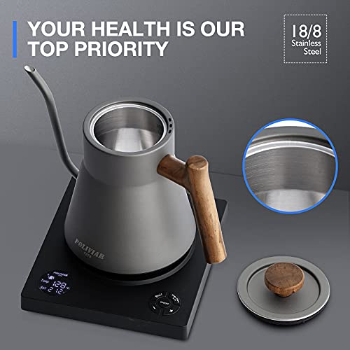 POLIVIAR Electric Gooseneck Kettle, 1200W Electric Tea Kettle w/teak