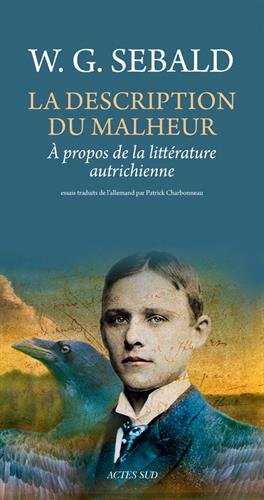 La  description du malheur