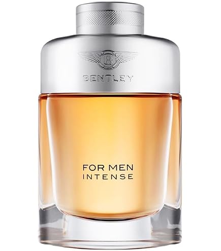 Bentley Silverlake EDP Spray Men 3.4 oz : Amazon.ca: Beauty
