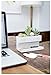 Kikkerland Concrete Desktop Planter, Large (PL02-L)