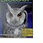 Amazon.com: Modern Biology: Student Edition 2009 (9780030367694 ...