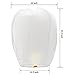 Chinese Lanterns 20-Pack - 100% Biodegradable, Paper Lantern - Japanese Lantern for Weddings, Celebrations, Memorial Ceremonies - White Flying Wish Lanterns