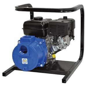 IPT Cast Iron Semi-Trash Pump - 2in. Ports, 6, 600 GPH, 3