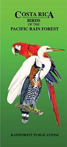 Costa Rica Pacific Rain Forest Bird Guide (Laminated Foldout Pocket Field Guide) (Tropical Wildlife Field Guide) (English and Spanish Edition) by Rainforest Publications