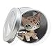 LHJ Littlest Pet Shop RARE Short Hair Cat Kitty Leopard Moon Eyes LPS #852