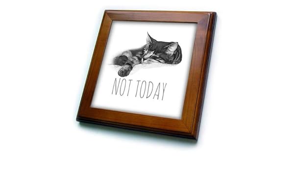 Amazon Com 3drose Alexis Design Funny Cats Drawing Of A