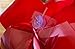 Giant Red Bow for Cars 23” Perfect on a New Car Big Bows Tie, for Birthday Gifts on Graduation Gifts, New Houses, Christmas Presents. A Multipurpose Bow for Many Surprises.