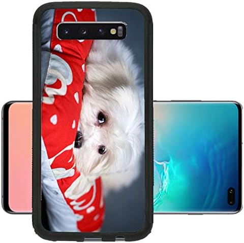 Liili Phone Case Designed for Galaxy S10 Plus Case Aluminum Backplate Bumper Snap Case Image ID: 25467554 White Puppy Maltese Dog