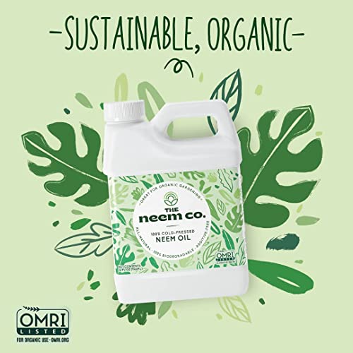 Neem Oil, 100 Organic & Pure Cold Pressed Neem Seed Oil with High