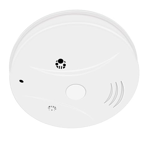 Buy Security Video Nanny Hidden Camera Umanor Hd 1080p Spy Loop