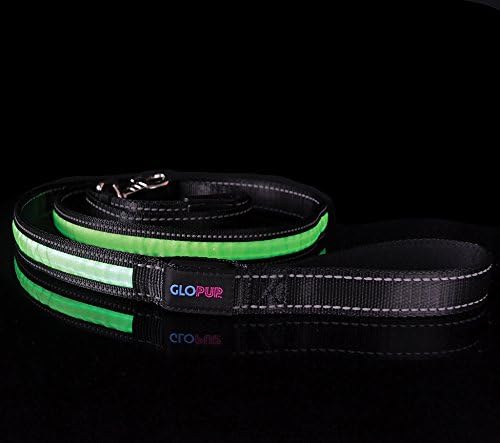 FLASH SALE! GLOPUP LED Dog Leash - Green - Glow In The Dark - 6 Feet Adjustable Length - Makes Your Dog Visible And Safe - Reflective Stitching