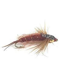 Pesca con mosca Surtido para trucha y otros peces de agua dulce   24 moscas en 8 patrones y 3 tamaños con caja de moscas   suave Hackle, oliva, Ninfa, Midge, cobre, John Caddis Pupa, oreja de liebre, Biotina