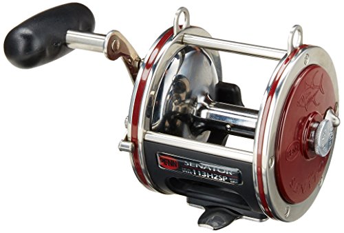 PENN Special Senator Star Drag