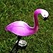 2 Pcs Flamingo Ground Spike Lights Solar Powered Garden Light Waterproof Park Decorative Lawn Lamp Pathway Outdoor Yard Walkway (Solar Flamingo)