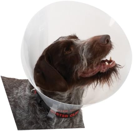 best lint roller for pet hair