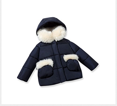 dave and bella coats