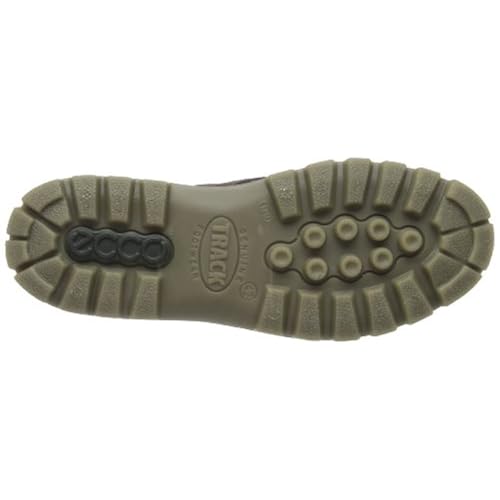 ecco indianapolis 2013