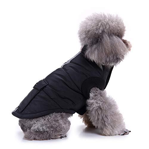 Dog Pet jacket Pet Dog Cat Puppy Winter Warm Clothing Reflective Costume Jacket Coat Apparel Coat Panda Small Dogs Pet Garment T Shirt For Small Dog Cat Puppy Rabbit Pig Warm Outfits (Black, M)