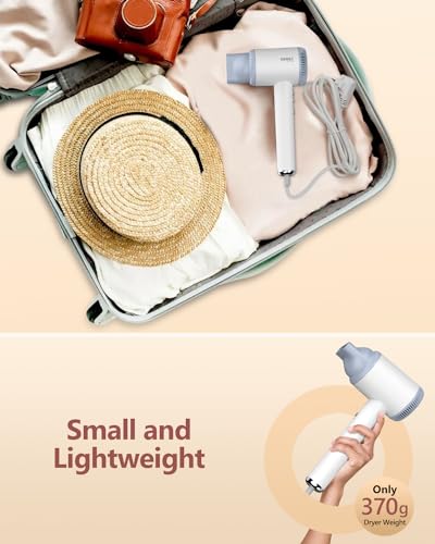 DEWILY Professional Ionic Hair Dryer - Fast Hair Dryer, High Speed Motor 110,000 RPM, Magnetic Diffuser and Concentrator