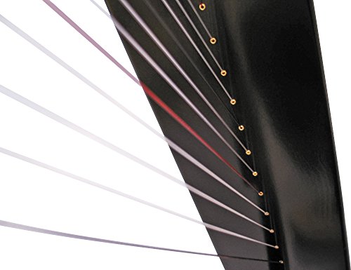 Rees Harps Sharpsicle Harp Black