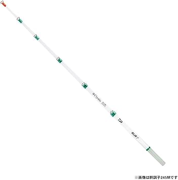 Amazon ダイワ Daiwa クリスティア ワカサギ ロッド 穂先 胴調子 24 5 ダイワ Daiwa 渓流竿