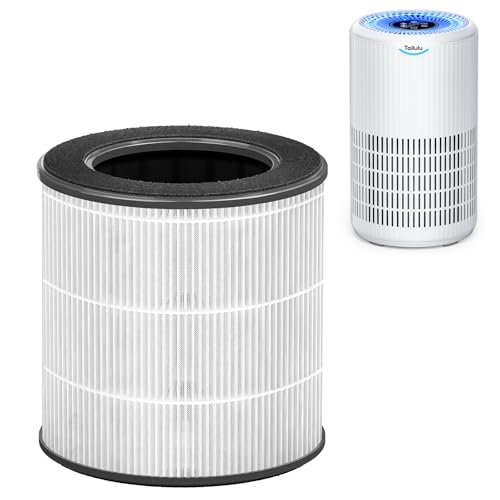 Tailulu Air Purifier Replacement Filter for D09 Air Cleaner, 3-in-1 True H13 HEPA Filter, 1 Pack