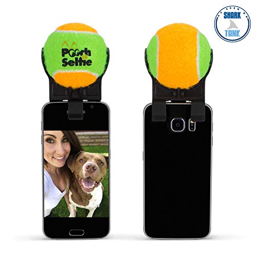 pooch selfie ball