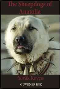 sheep dog wolf collar