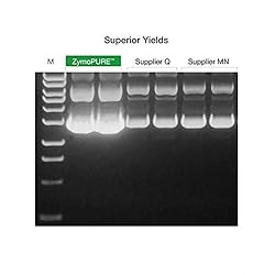 ZymoPURE™ Plasmid Miniprep Kit, up to 100µg