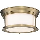 Z-Lite 2 Light Flush Mount 2011F10-HBR, Matte Opal,11" Round