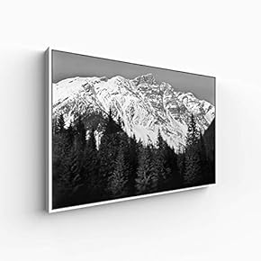 Canvas Wall Art for Living Room, Bedroom Great View Framed Canvas Prints for Home Decoration Ready to Hang - 16x24 inches