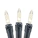 Novelty Lights 34 Feet 100 Bulbs Traditional Incandescent Mini Lights, Clear on Black Wire with 4