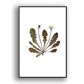 Framed Canvas Wall Art for Living Room, Bedroom Leaves Canvas Prints for Modern Home Decoration Ready to Hang - 16"x24" inches