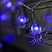 QPEY Halloween Spider String Lights, Battery Operated 20 LED Waterproof Decoration Lights for Indoor/Outdoor Halloween Party